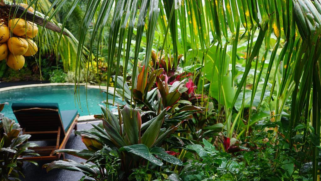 West Bali Villas-Umasari Resort Negara  Exteriör bild