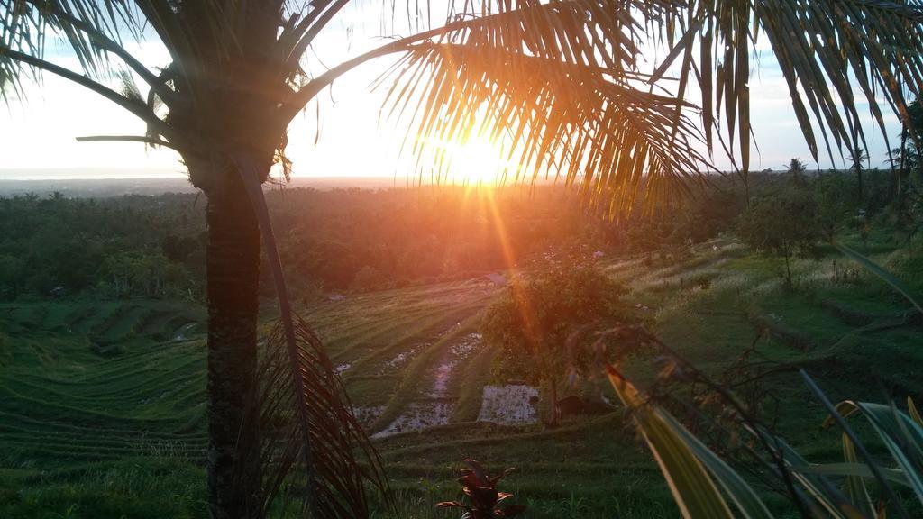 West Bali Villas-Umasari Resort Negara  Exteriör bild